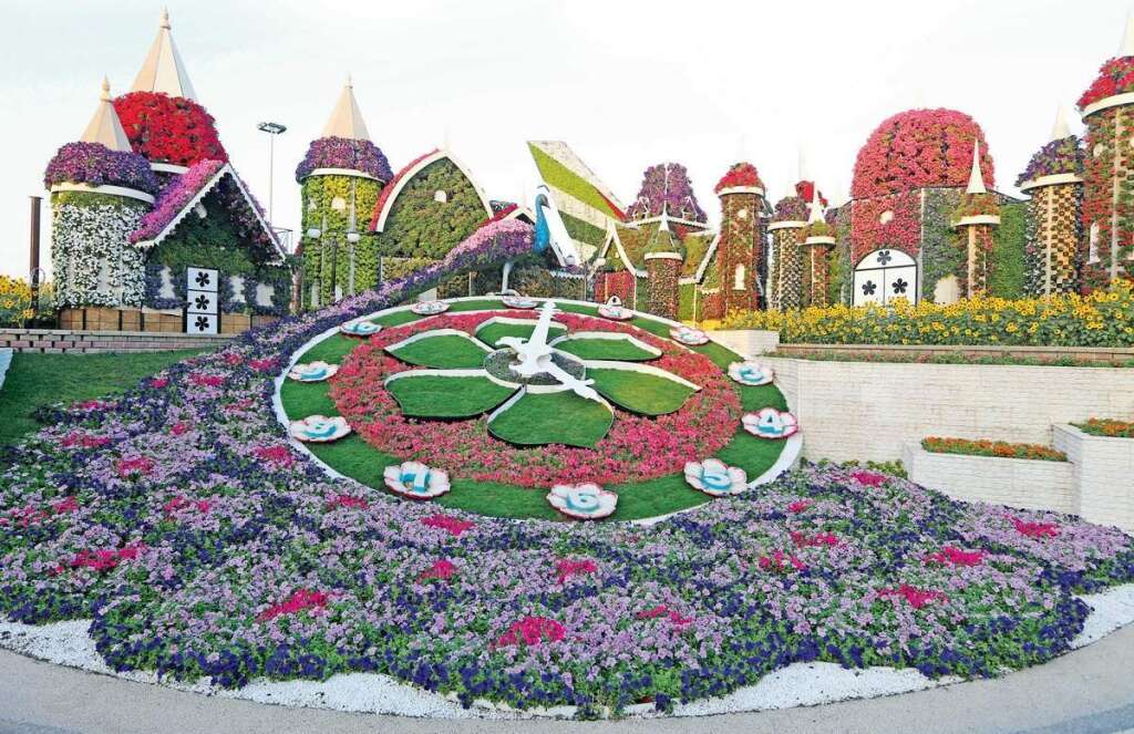 50 Million Blooms To Wow Visitors At Dubai Miracle Garden News