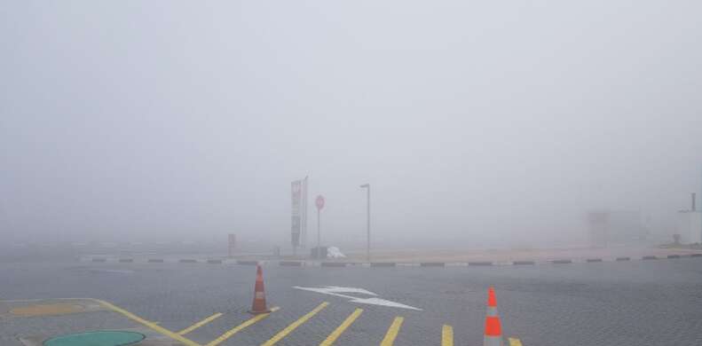 Video: How heavy is the fog in UAE today? - News | Khaleej Times
