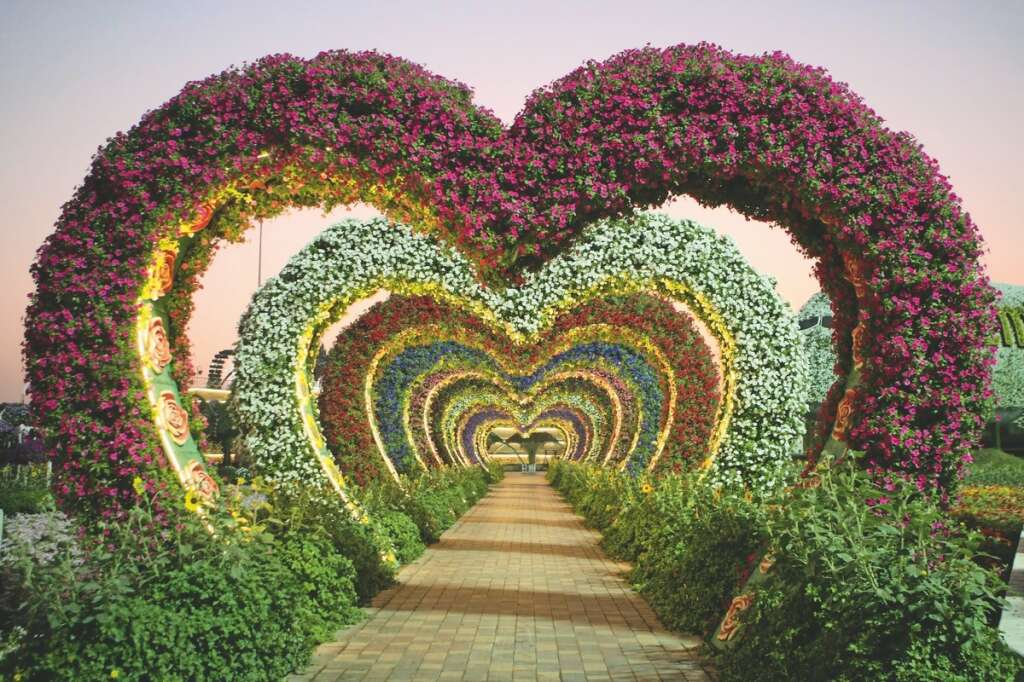 50m Flowers Of 120 Varieties Bloom At Dubai S Miracle Garden From Today News Khaleej Times