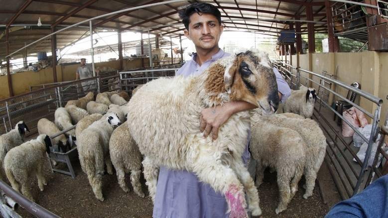Eid al Adha: Abu Dhabi releases new sacrifices and meat distribution guidelines-News