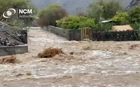 Video: Shocking footage shows that rivers are surging as rain hits UAE-News